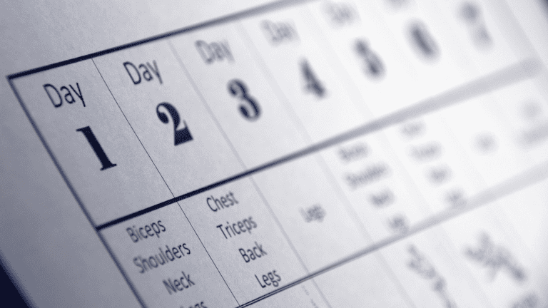 Workout Daily Routine Plan