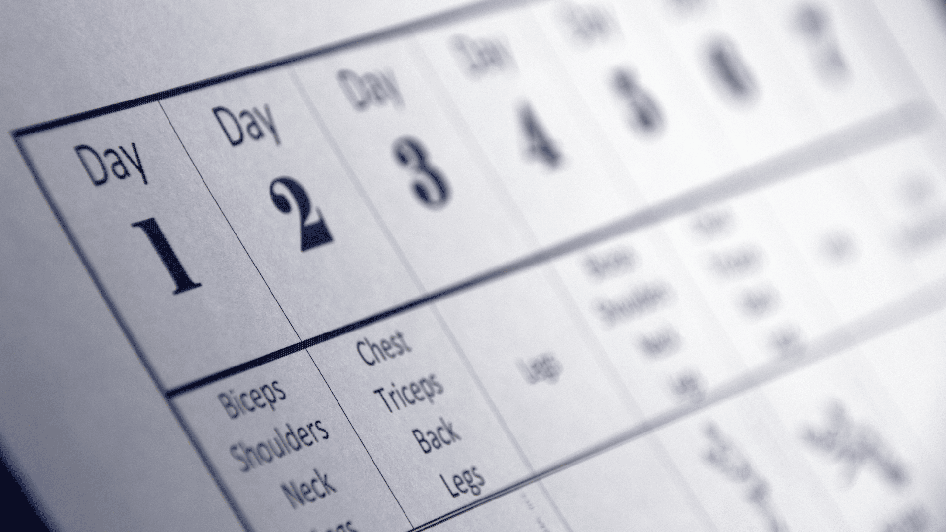 Workout Daily Routine Plan